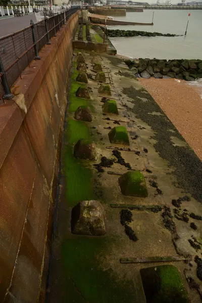 DSC_1283 (Large).JPG